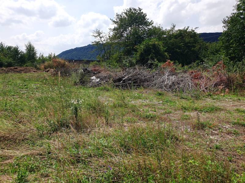Grundstücke - Gewerbe in Trenčianske Bohuslavice, mit wilder Vegetation und Haufen von Ästen.