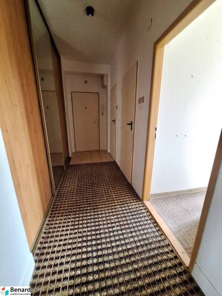 Der Flur in einer 2-Zimmer-Wohnung mit gemustertem Teppich und Einbauschrank.
