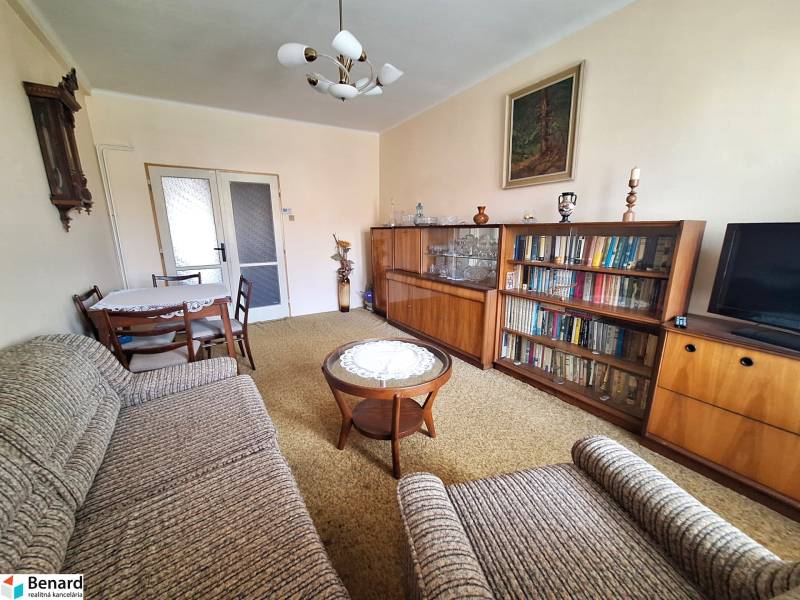 Wohnzimmer in einer 2-Zimmer-Wohnung mit Bibliothek, Sofa und Tisch mit Stühlen.