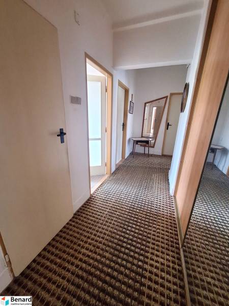 Flur in einer 2-Zimmer-Wohnung mit Teppich, Spiegel und Tisch.