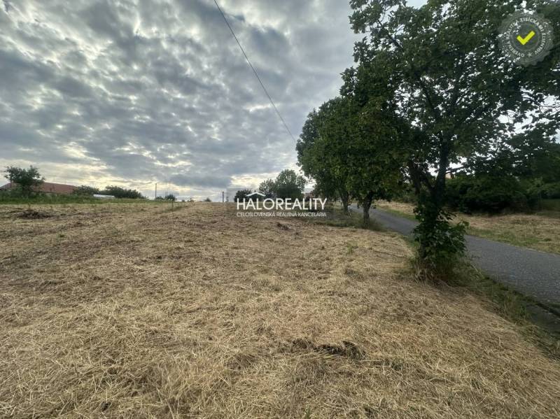 Grundstücke - Wohnen in Rybník, Gras, Bäume, Straße, bewölkter Himmel, ruhige Lage.