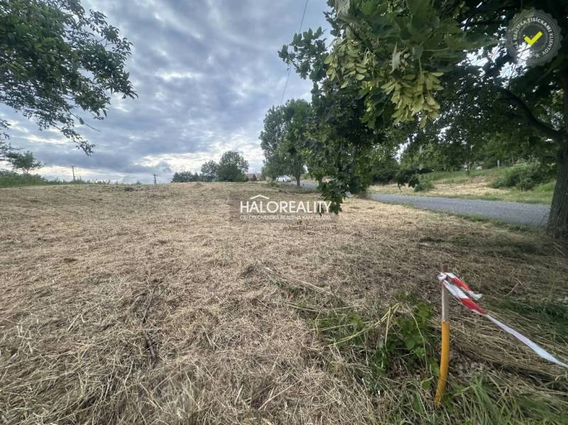Grundstück in Rybník zum Wohnen, Grasfläche an der Straße, von Bäumen umgeben.