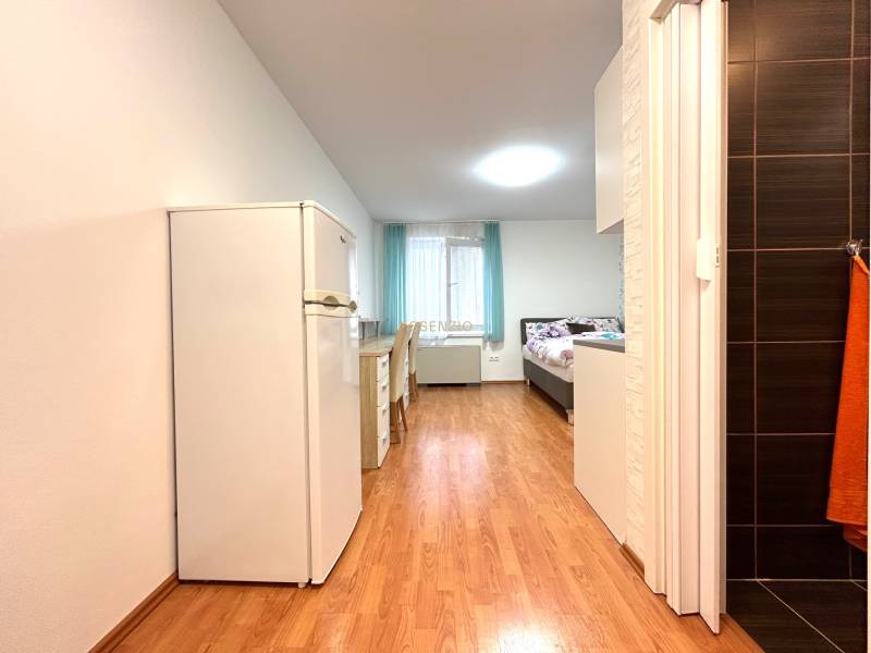 Einzimmerwohnung mit Holzboden, Bett, Schreibtisch und Kühlschrank.