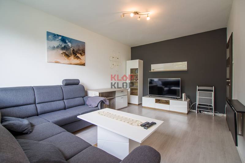 Wohnzimmer mit Sofa und Fernseher in einer 2-Zimmer-Wohnung.