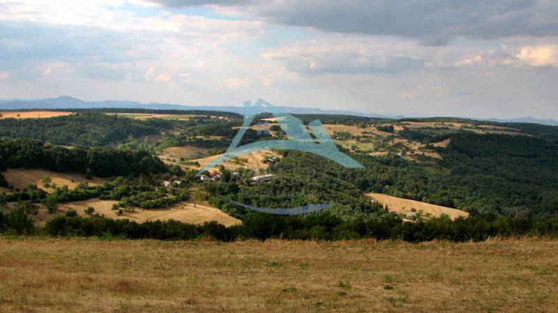 Hügelige Landschaft mit Wäldern und offenen Flächen, ideal für das Wohnen auf dem Land.