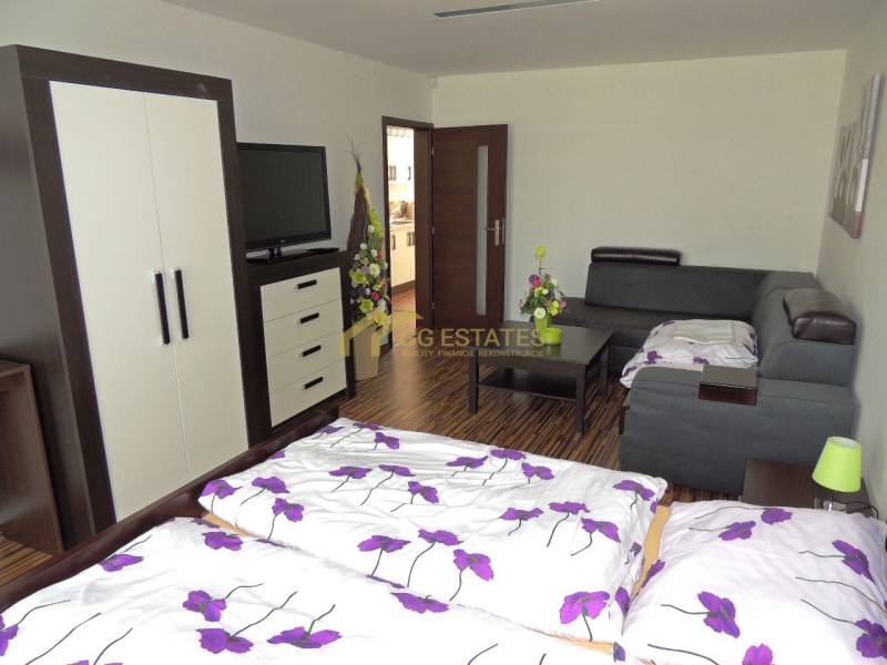 Schlafzimmer in einer 2-Zimmer-Wohnung mit Sofa, Schrank und Fernseher, Blumendekor.