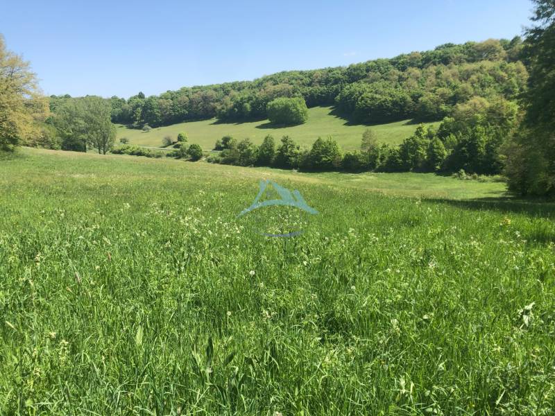 Eine Wiese mit grünen Grundstücken und Bäumen auf einem Hügel, ideal für Freizeitgrundstücke.