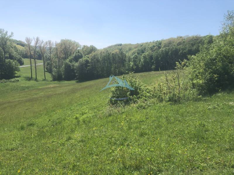 Auf dem Bild sind grüne Erholungsgrundstücke mit einer Straße, umgeben von Wäldern und Natur.