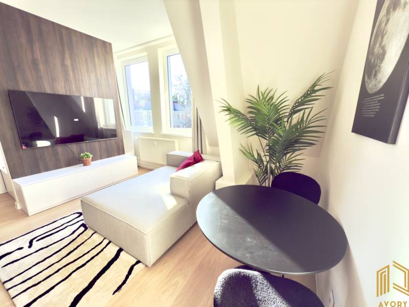 Einzimmerwohnung mit Fernseher, Sofa und Tisch, ergänzt durch eine Pflanze und einen modernen Teppich.