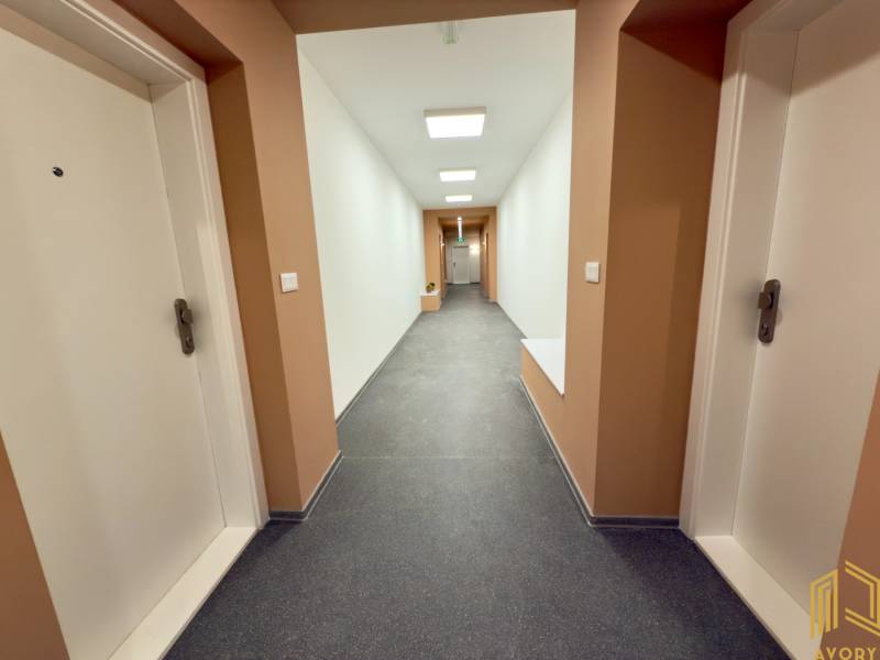 Der Flur mit weißen Türen, Beleuchtung in der Sadová-Straße, führt zu einem Einzimmerapartment.