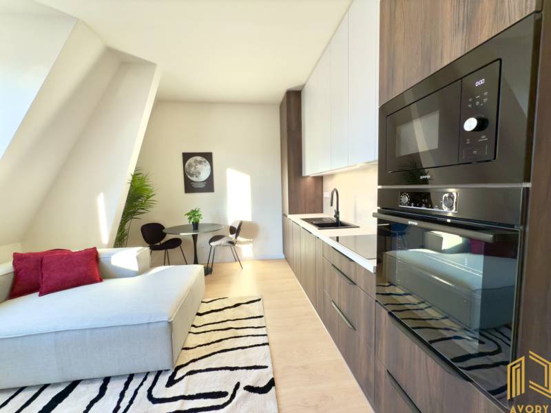 Einzimmerwohnung mit Küchenzeile, Sofa, Tisch und Pflanze, ideal für gemütliches Wohnen.