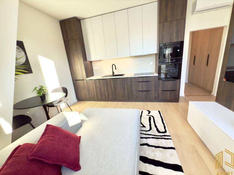 Einzimmerwohnung mit Küchenzeile und Esstisch, bequeme Couch, Holzdessin.
