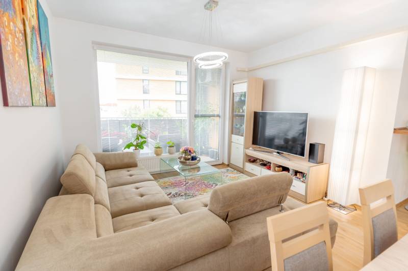 Helles Wohnzimmer einer 3-Zimmer-Wohnung mit Sofa, Fernseher, Teppich und Blumen am Fenster.