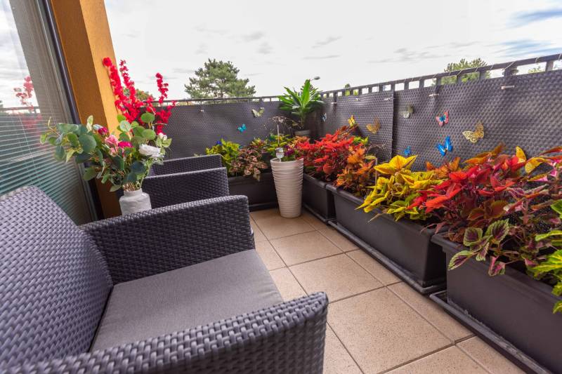 Ein Balkon mit bequemen Sitzgelegenheiten, Blumen und dekorativen Schmetterlingen in einer 3-Zimmer-Wohnung.