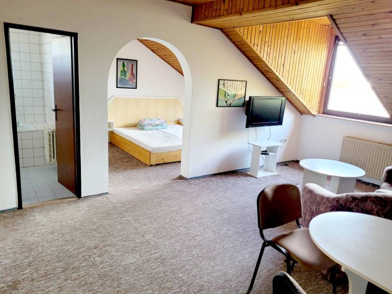 Dachgeschosswohnung mit 2 Zimmern, Fernseher, Tisch, Sesseln und Zugang zum Schlafzimmer.