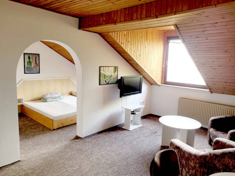 Dachgeschosswohnung mit 2 Zimmern, mit gewölbten Durchgängen und Dachfenster.