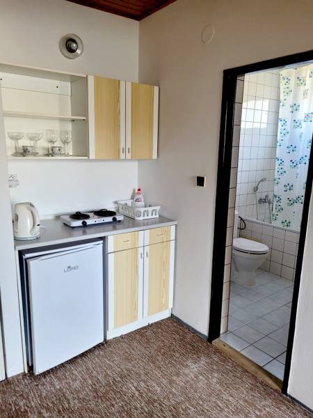 Kochnische mit Kochfeld und Badezimmer in einer 2-Zimmer-Wohnung.