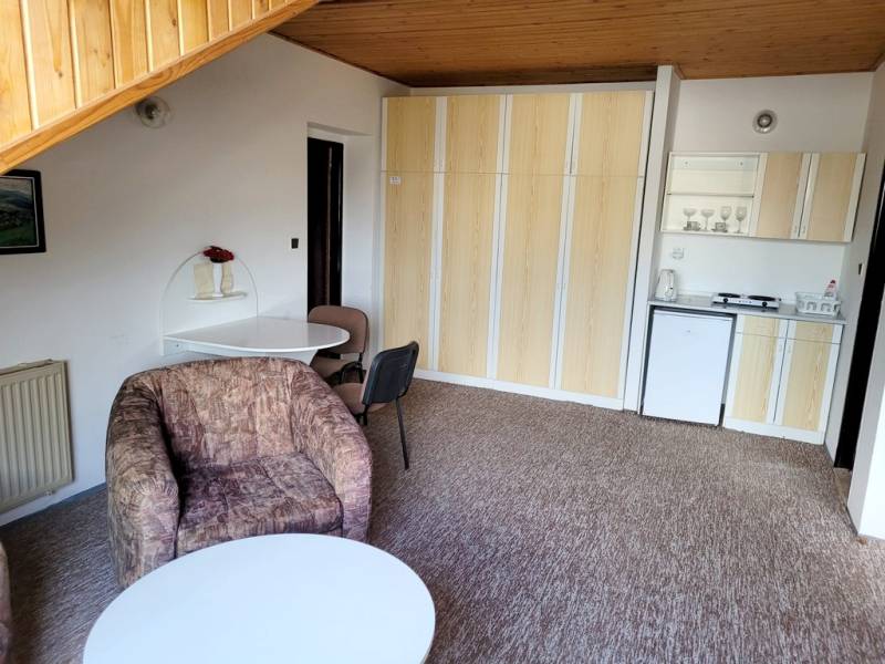 Wohnzimmer in einer 2-Zimmer-Wohnung mit Küchenzeile und bequemen Sessel.