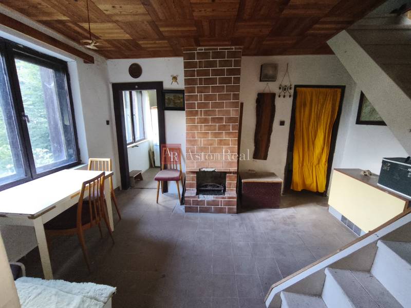 Wohnbereich in einer Hütte mit Kamin, einfacher Möblierung und Boden mit Holzdekor.
