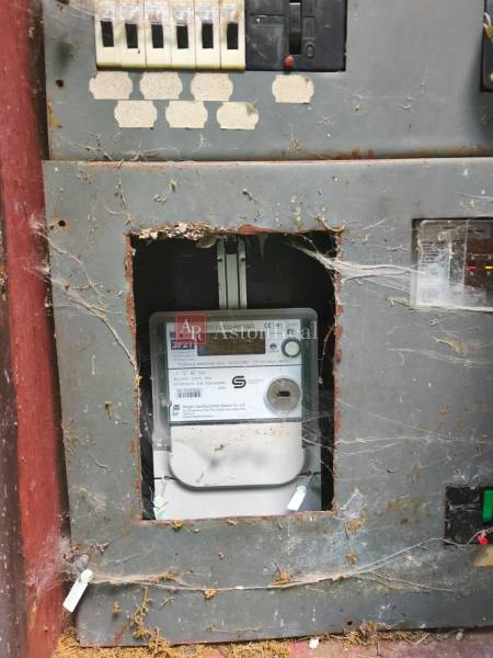 Alter Sicherungskasten mit Spinnennetz im Inneren der Hütte.