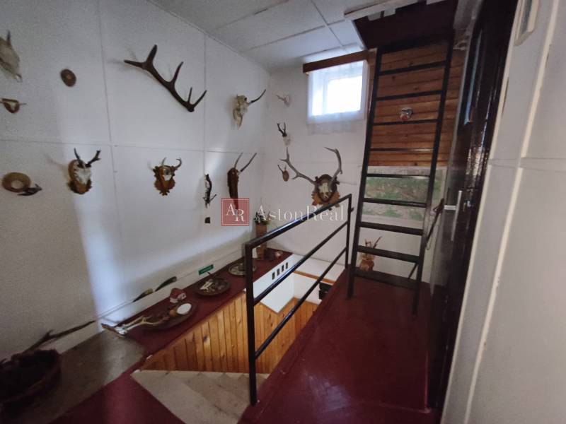 Innenraum einer Hütte mit Treppe, Wanddekorationen und einer Sammlung von Jagdtrophäen.