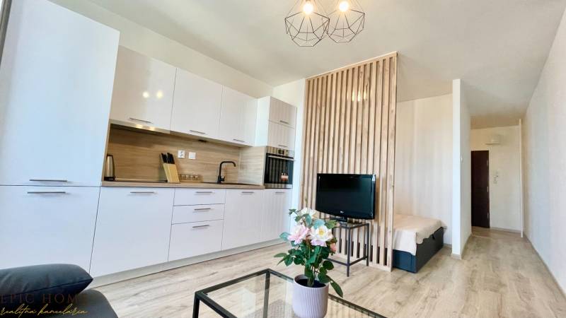 1-Zimmer-Wohnung mit Küchenzeile, TV, Holzwand und Blumen auf dem Tisch.