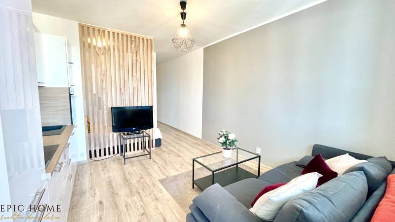 Wohnbereich einer Einzimmerwohnung mit Sofa, Fernseher und Holzwand.
