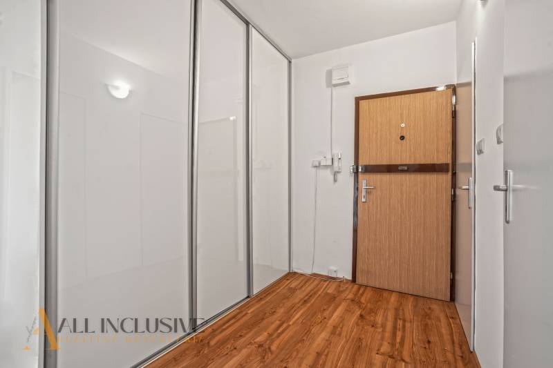 Eingangsflur in einer 2-Zimmer-Wohnung mit Holzboden und Einbauschrank.
