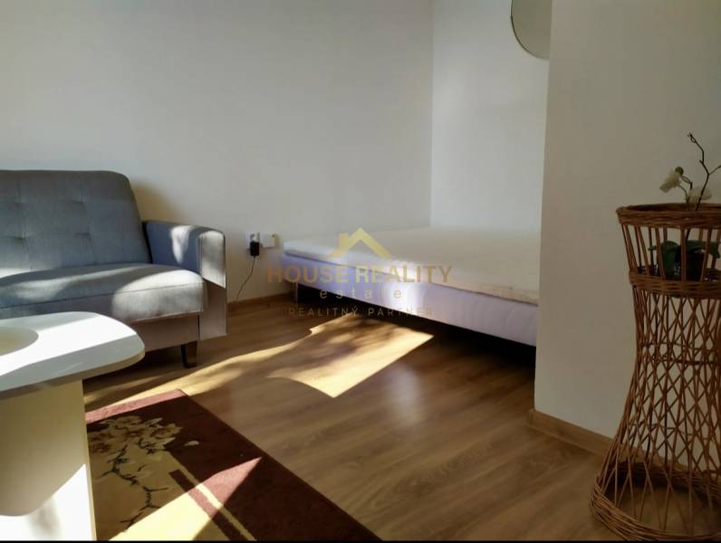 Wohnbereich einer Einzimmerwohnung mit Sofa, Bett und hellen Holzmöbeln.