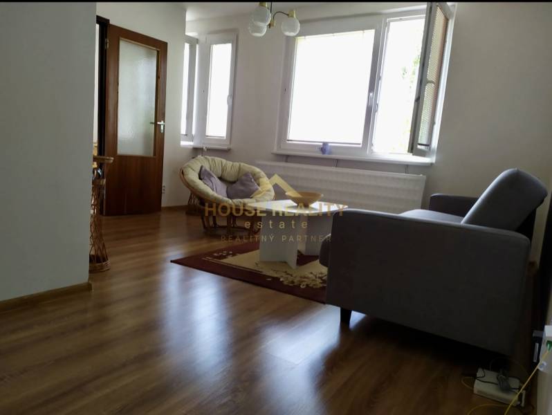 Wohnzimmer in einer Einzimmerwohnung mit Holzboden, Sofa und großen Fenstern.