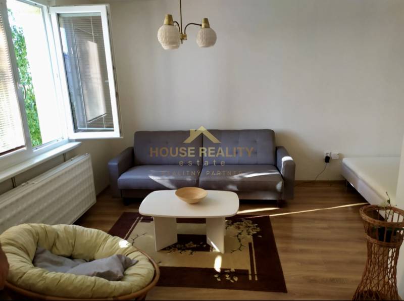 Wohnzimmer mit Sofa, Couchtisch und Sessel in einer Einzimmerwohnung.