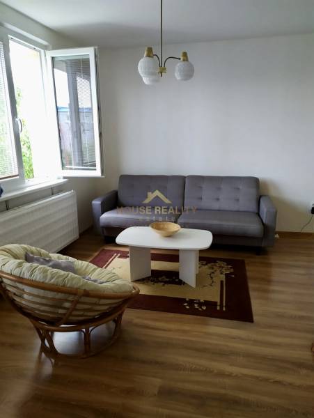 Heller Wohnraum in einer Einzimmerwohnung mit beigem Sessel und grauem Sofa.
