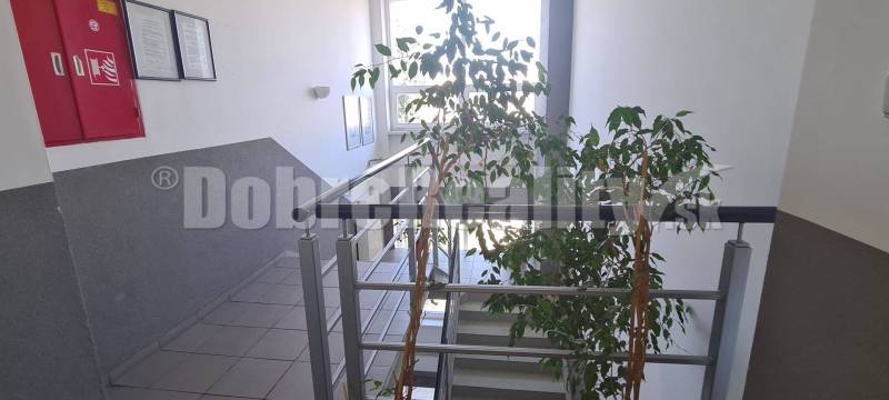 Treppe in Büros mit rotem Feuerkasten und Zimmerpflanze.