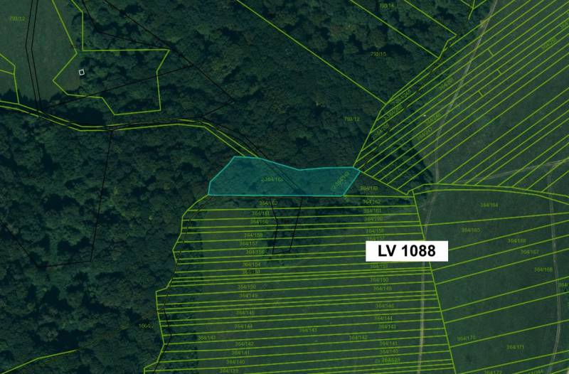 Die Katasterkarte des Gebiets Topoľovka zeigt landwirtschaftliche und forstwirtschaftliche Grundstücke mit Parzellennummern.