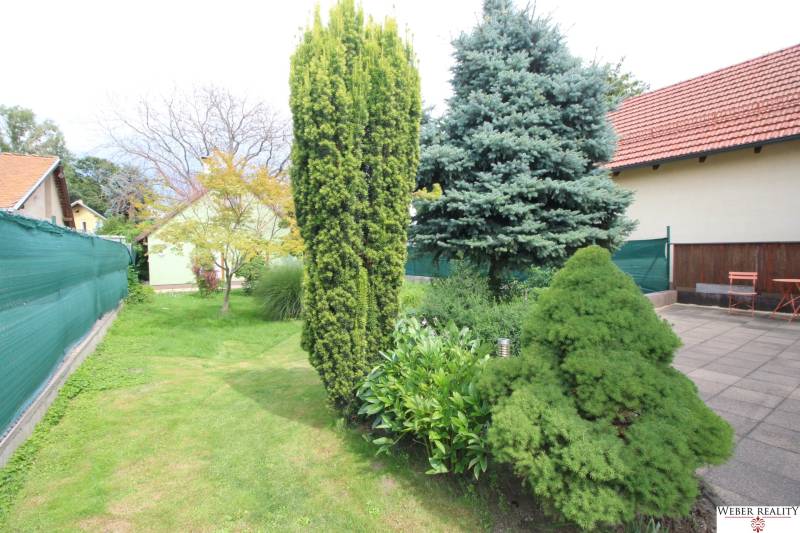 Der Garten eines Einfamilienhauses in Bratislava-Ružinov in den Neuen Gärten VII mit Nadelbäumen.