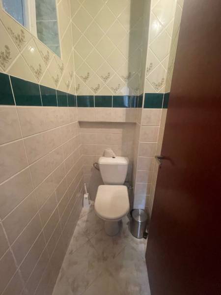 Toilette in einem Einfamilienhaus, mit Keramikfliesen und grünen Akzenten an den Wänden.