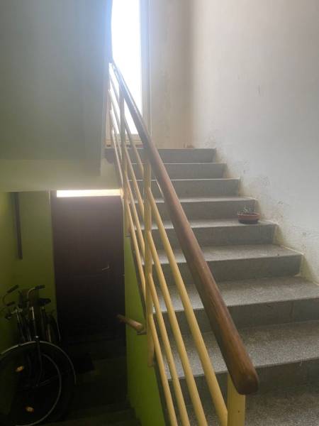 Eine Treppe in einem Einfamilienhaus mit Fahrrädern und einer Pflanze auf der Fensterbank.