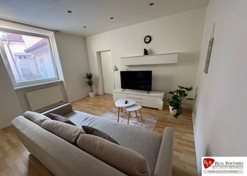 Wohnzimmer in einer Zweizimmerwohnung mit Sofa, Fernseher und Pflanzen auf Parkettboden.
