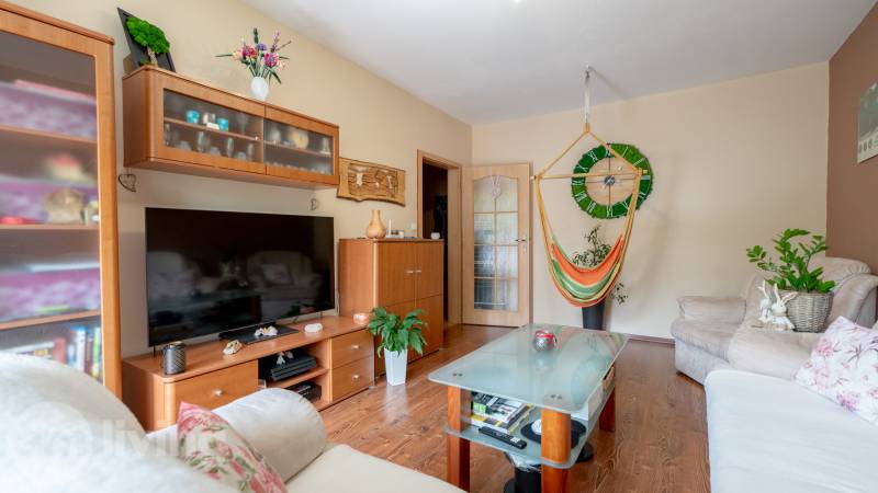 Wohnzimmer in einer 3-Zimmer-Wohnung mit einem bequemen Sofa, Fernseher und einem Hängesessel.