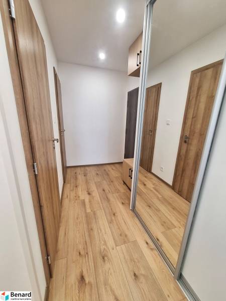 Holzboden und Spiegelschrank im Flur einer 2-Zimmer-Wohnung.