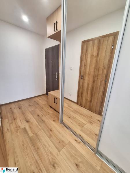 Eingangshalle in einer 2-Zimmer-Wohnung mit Holzböden und einem Spiegelschrank.