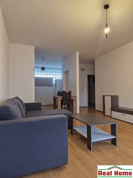 Wohnzimmer in einer 2-Zimmer-Wohnung mit einem dunkelgrauen Sofa und einem Holztisch.