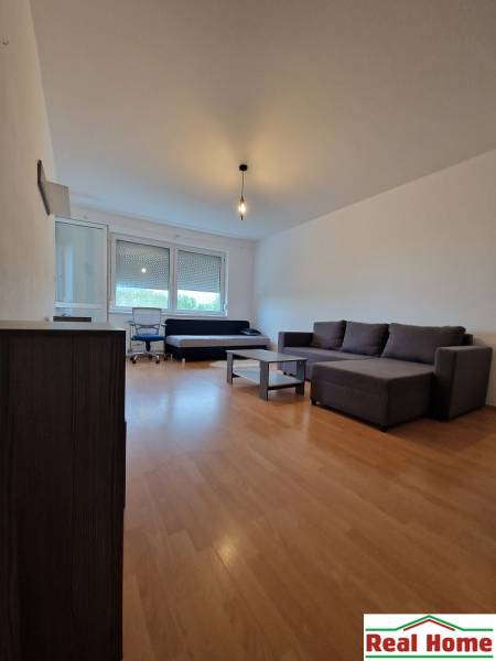 Wohnzimmer mit Sofa und Couchtisch in einer 2-Zimmer-Wohnung.