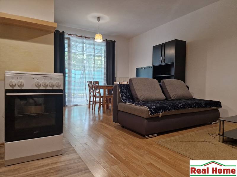 Einzimmerwohnung mit Sofa, Tisch und Herd im offenen Wohnbereich.