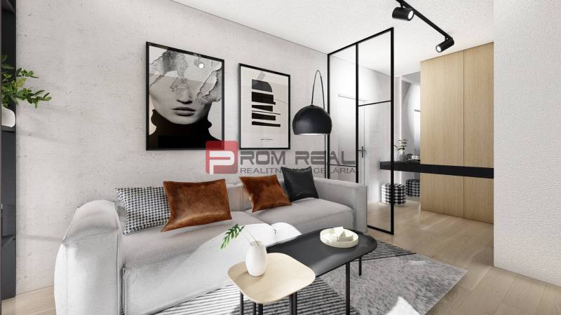 Wohnzimmer einer Zweizimmerwohnung mit Sofa, modernen Postern und Holzboden.