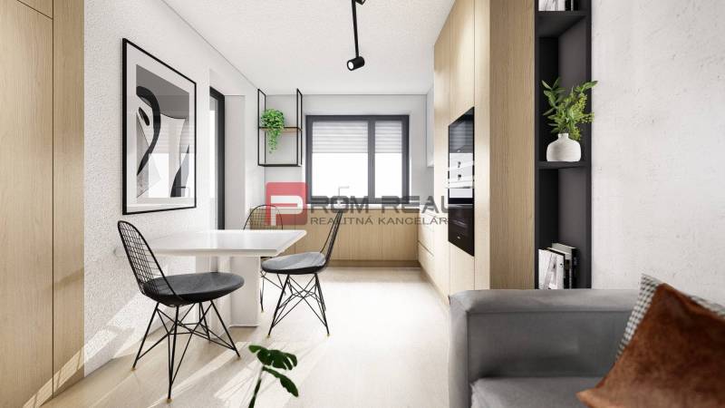 Essbereich, 2-Zimmer-Wohnung; schwarz-weiße Dekoration, Pflanze, moderne Möbel, helles Holz.