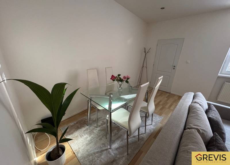 Ein Esstisch aus Glas mit vier Stühlen in einer Zweizimmerwohnung, neben einer Pflanze.