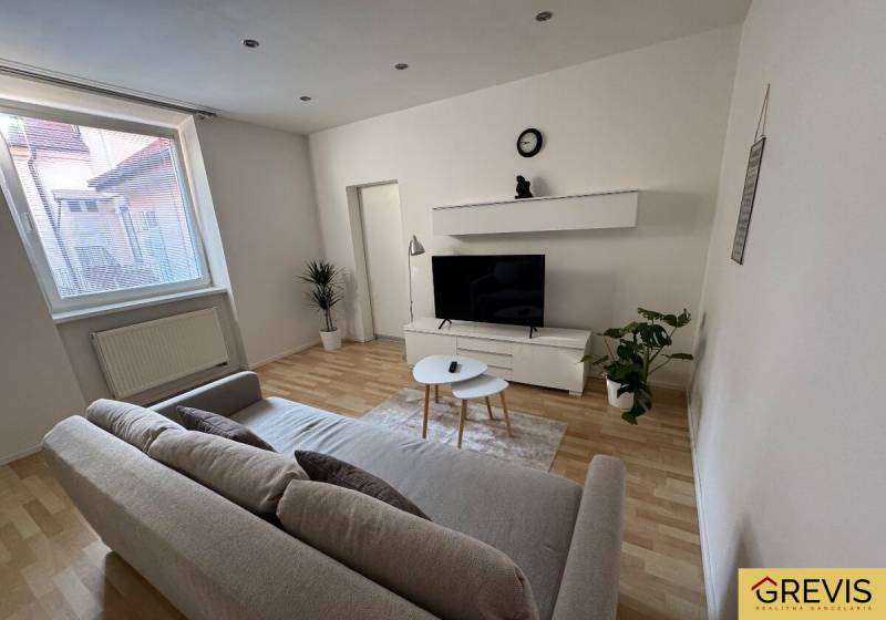 Wohnzimmer mit Sofa und Fernseher, helle Wände und Holzboden, 2-Zimmer-Wohnung.