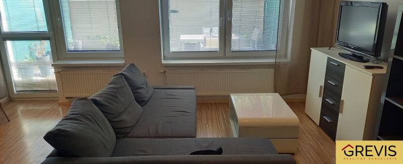 Wohnzimmer in einer 2-Zimmer-Wohnung mit dunkelgrauem Sofa und Fernseher.