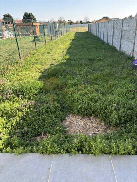 Der Garten des Einfamilienhauses in der Platanová-Straße in Miloslavov mit Rasen und Umzäunung.
